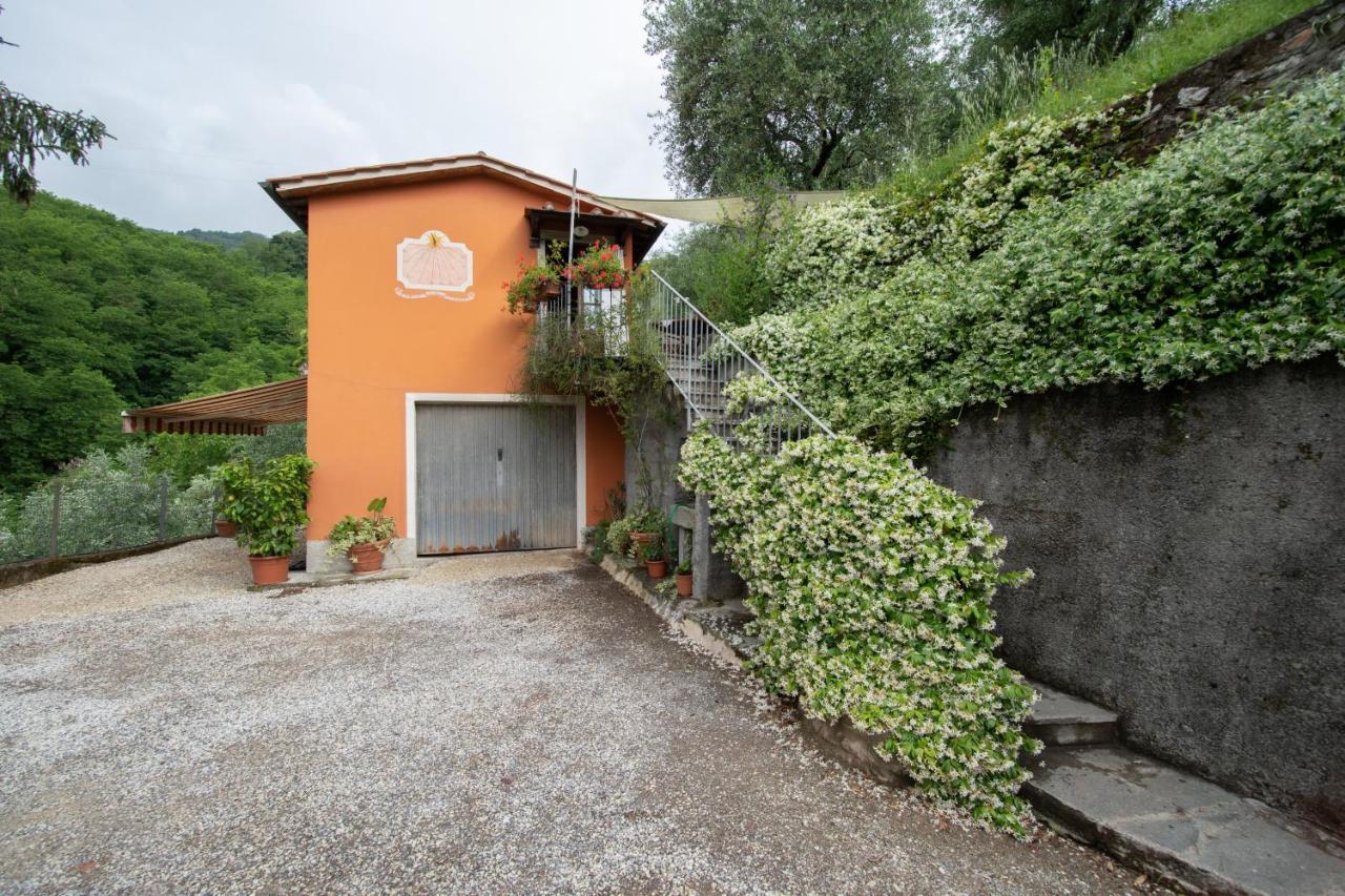 Casetta Di Butia, Ginestra Apartment With Swimming Pool Borgo a Mozzano Eksteriør billede